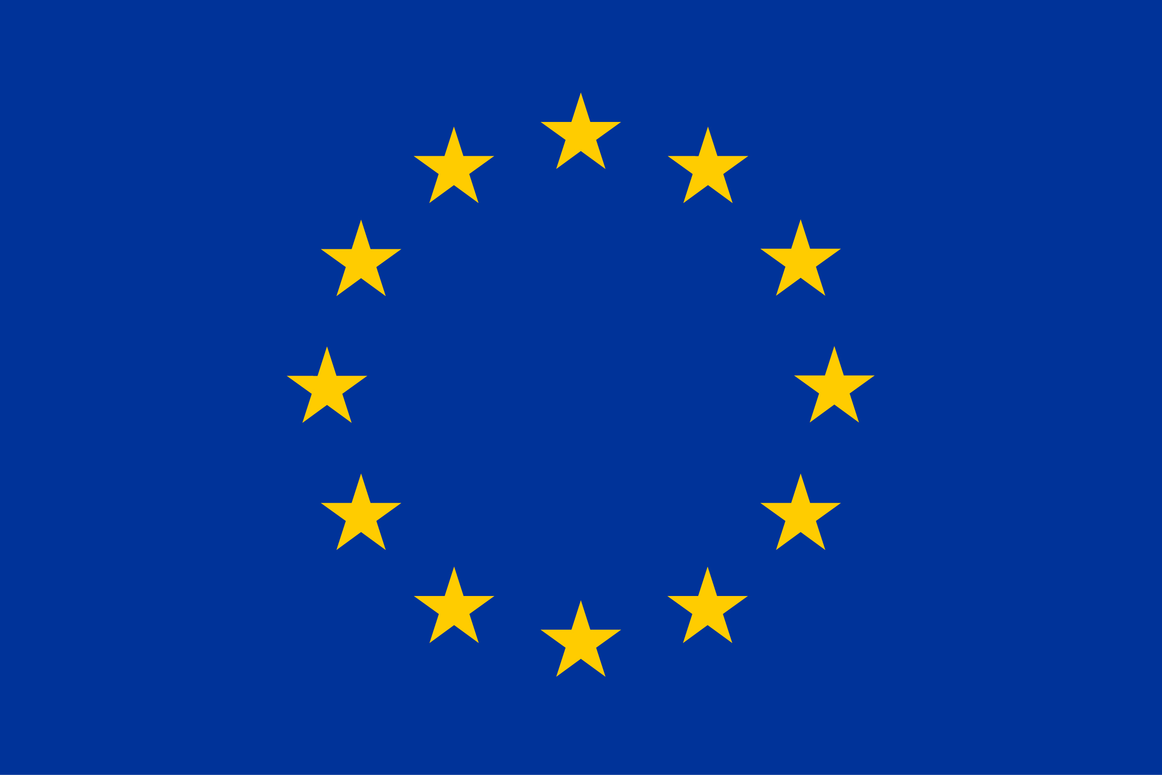 European Union Flag Logo