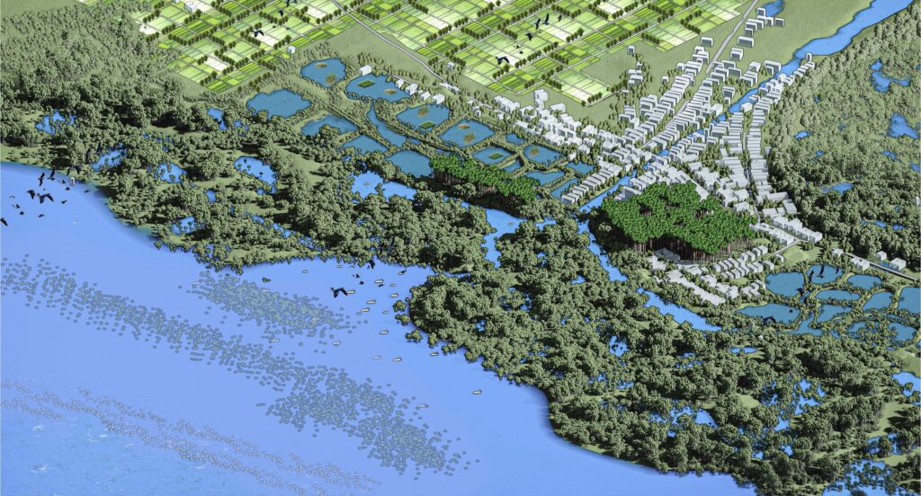 Adaptative Coastal Mangroves
