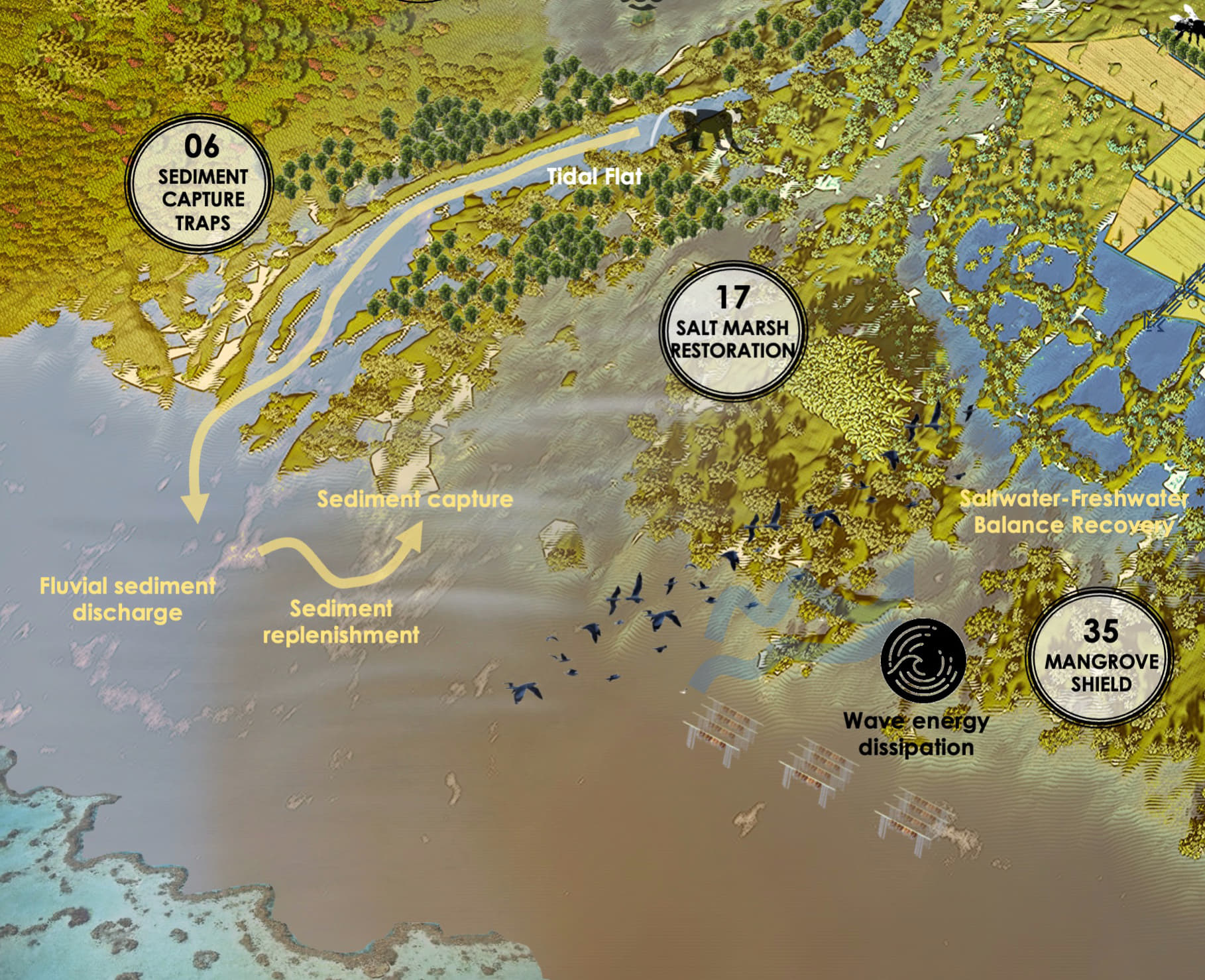 Salt Marsh Restoration