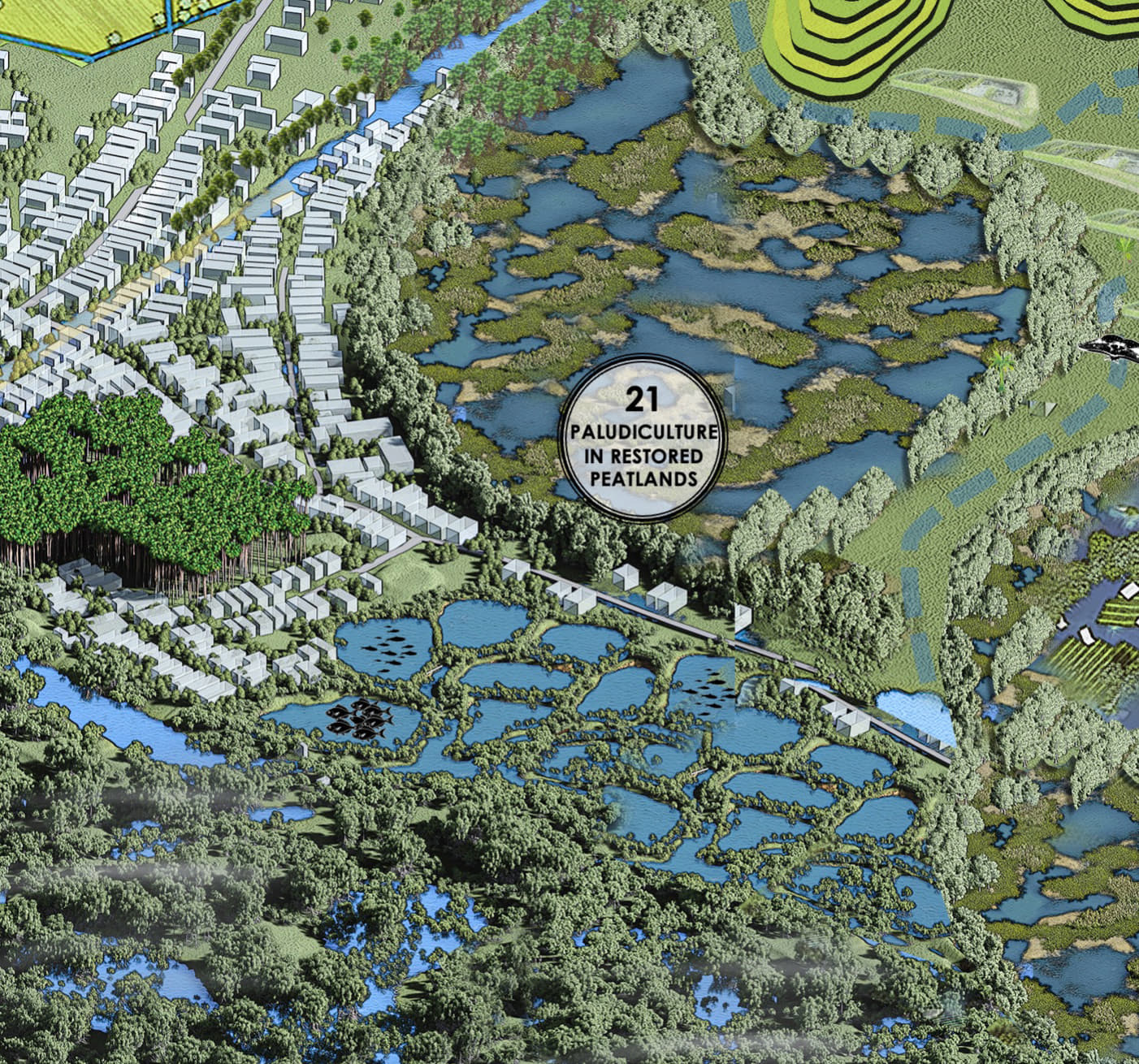 Paludiculture Associated Peatland