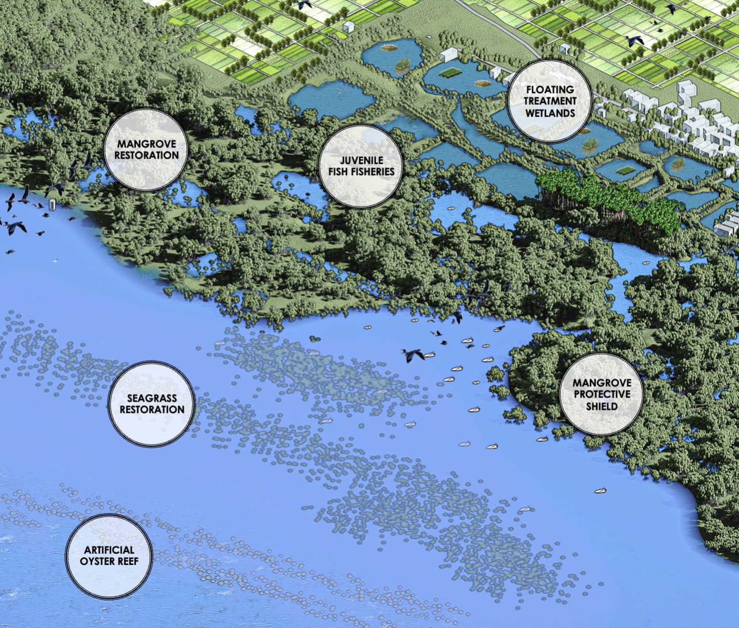 Mangrove As Protective Shield For Aquaculture