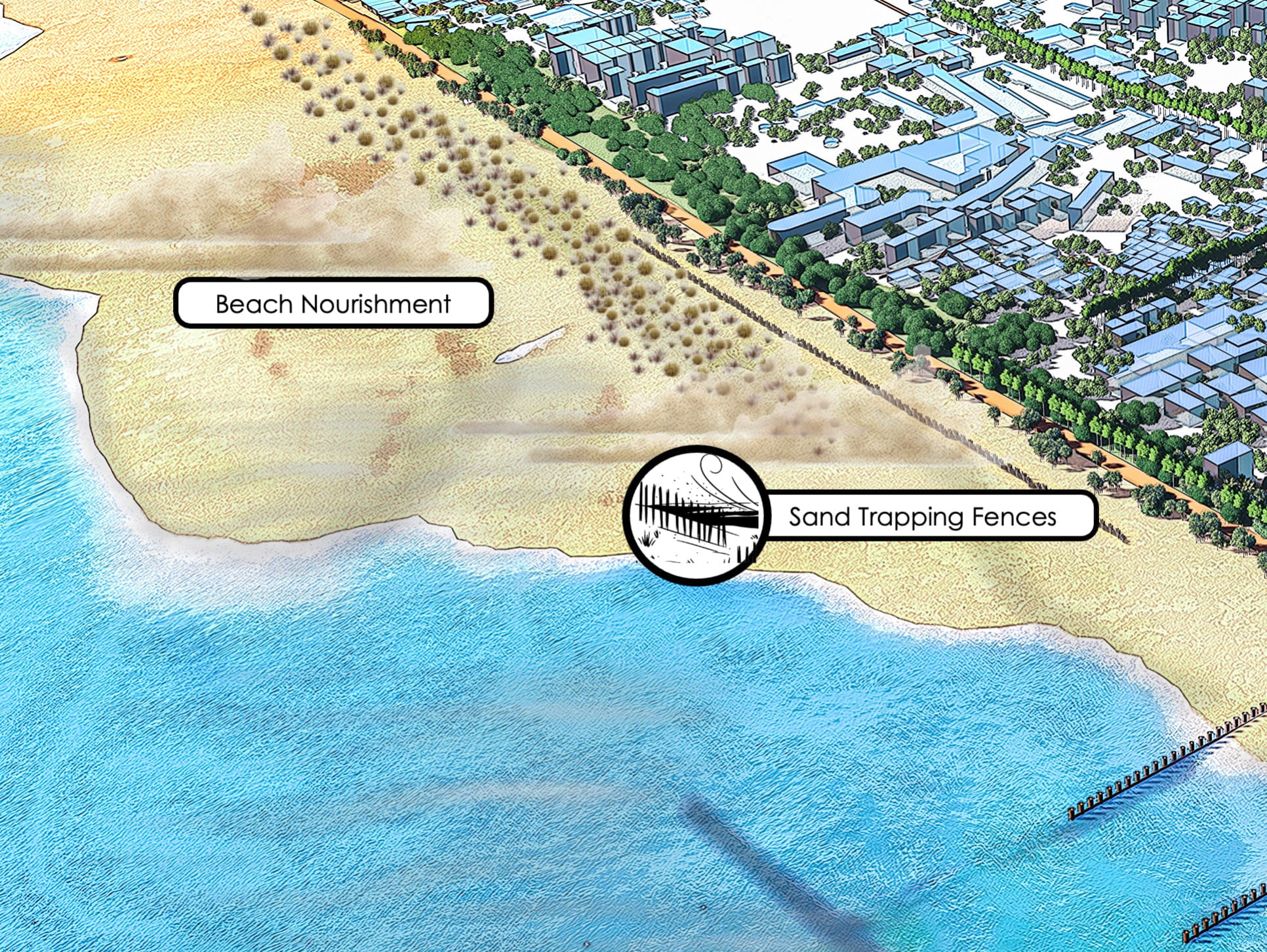 Sand Trapping Fences