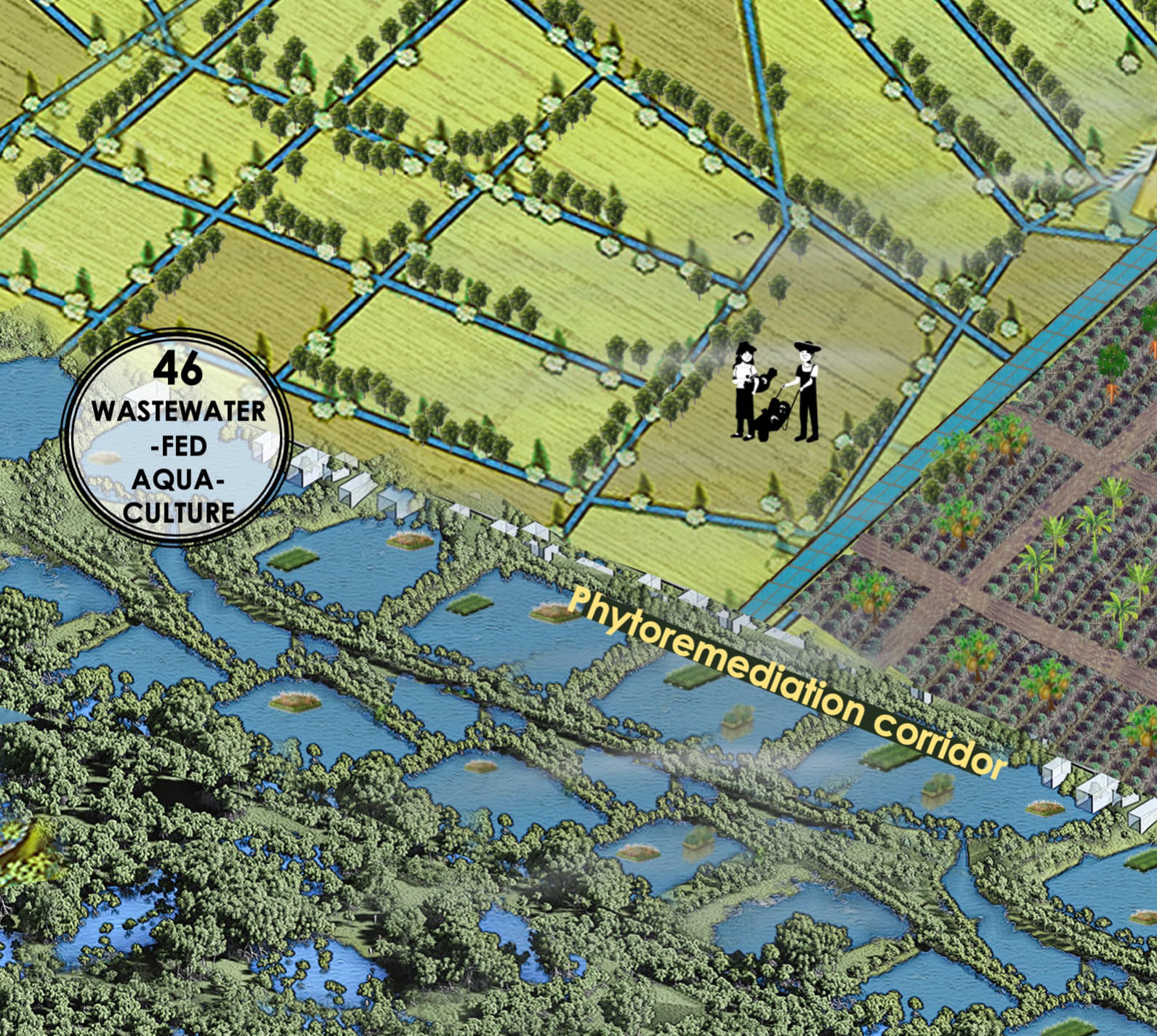 Wastewater-fed Aquaculture & Treatment Ponds