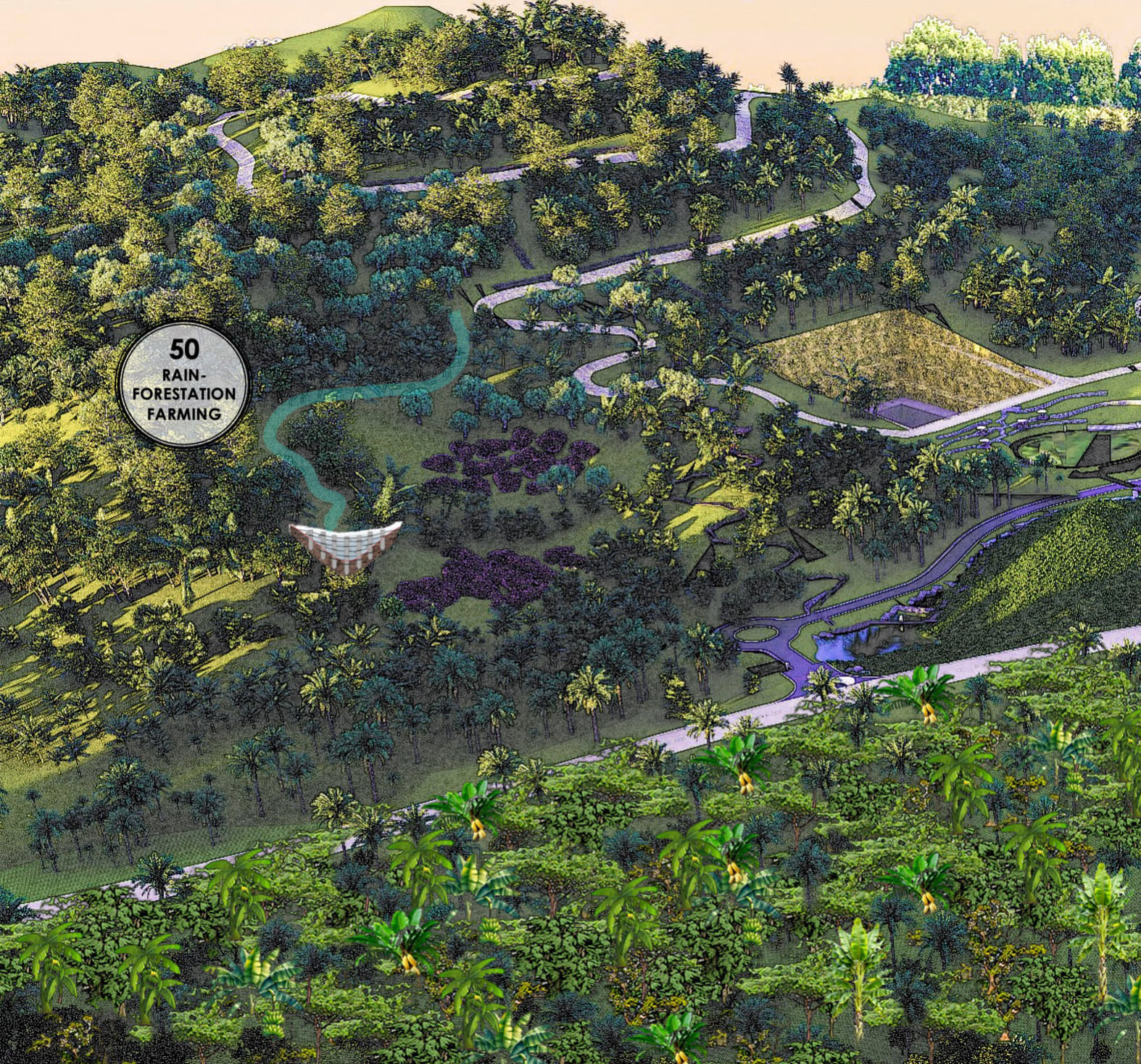 Rainforestation Farming