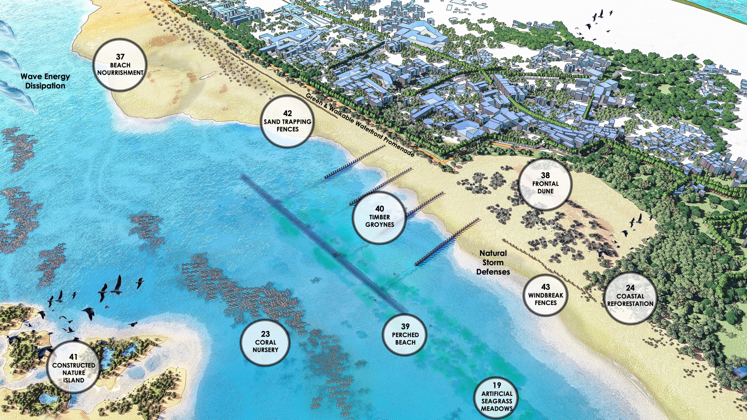 Adaptative Sandy Shorelines