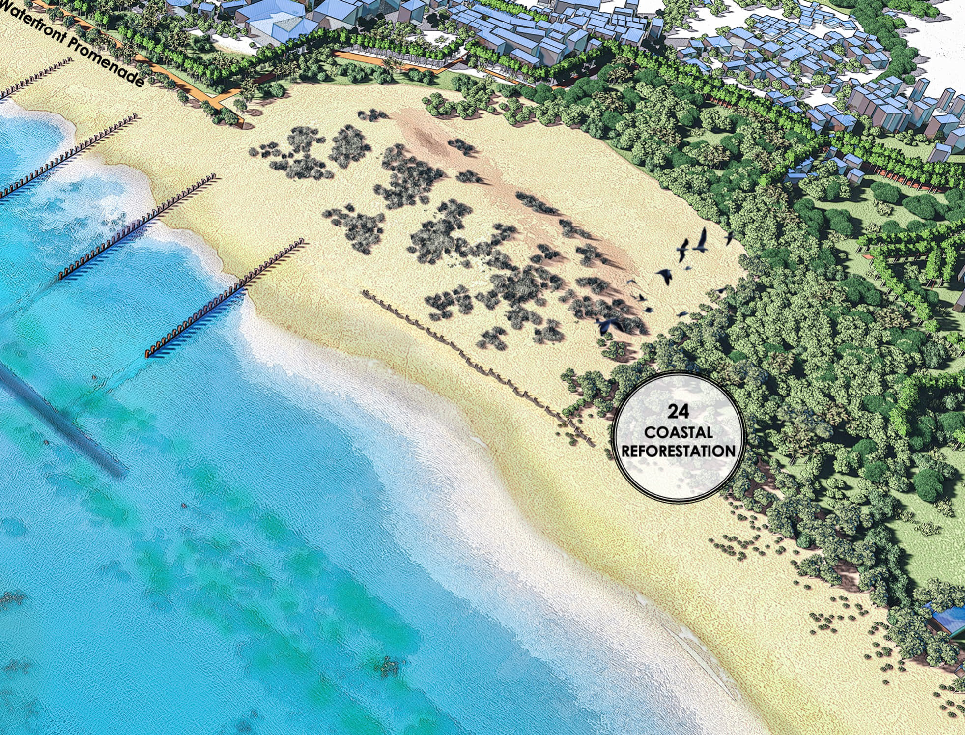 Coastal Reforestation