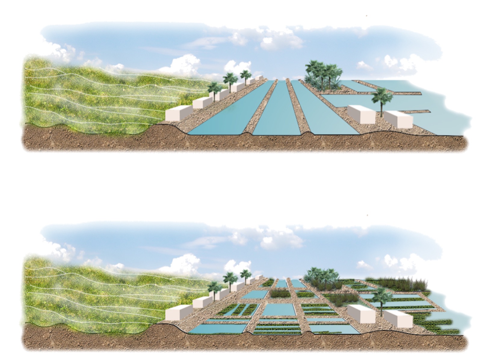 Drainage Reduction In Rice Paddy Fields