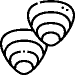 Adaptative Sandy Shorelines