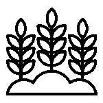 Regenerative Agriculture