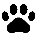 Wildlife Corridors for Ecological Connectivity