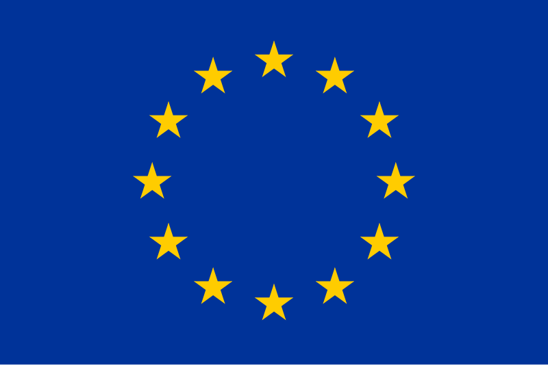 European Union Flag Logo